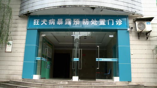 狂犬病 为何发病后致死率高达99.9%，每年5.5万人死亡的警示